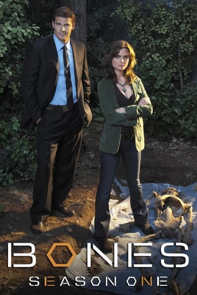 Staffel 1
