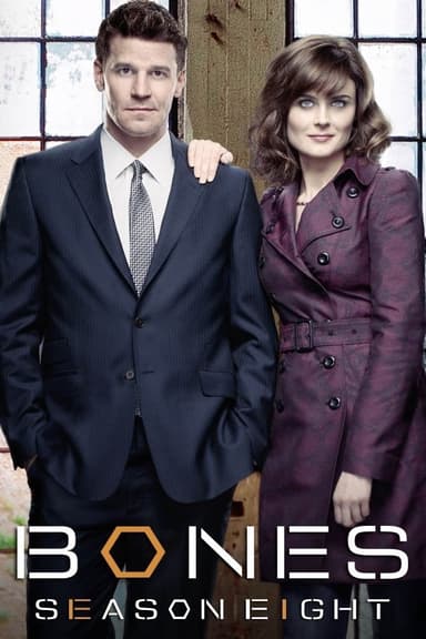 Staffel 8