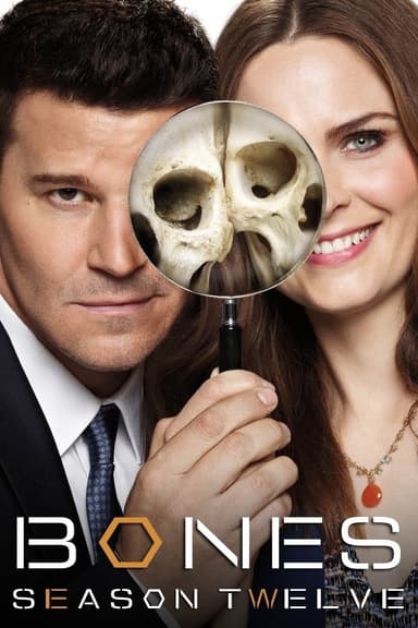 Staffel 12