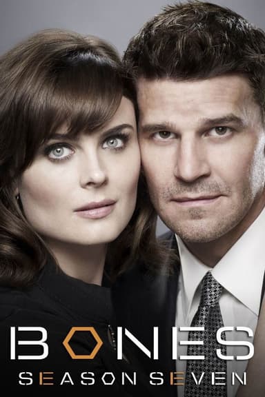 Staffel 7