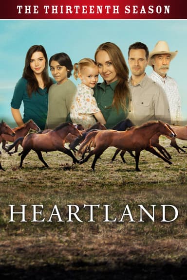 Staffel 13