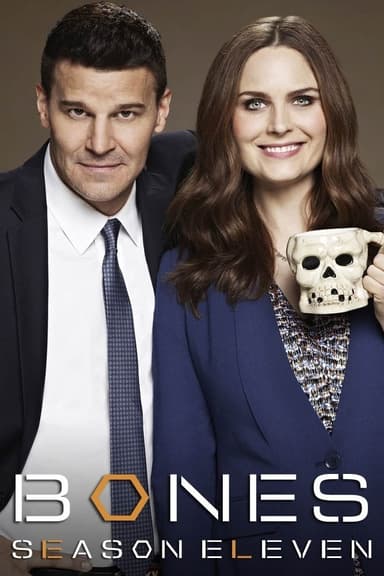 Staffel 11