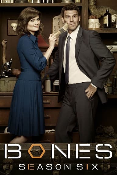 Staffel 6